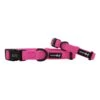 Dog Collar - Neon Pink -Furfinity Cheap Shop neon pink collar