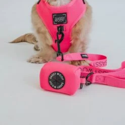 Dog Waste Bag Holder - Neon Pink 11 Dog Waste Bag Holder - Neon Pink -Furfinity Cheap Shop neon pink collection 14