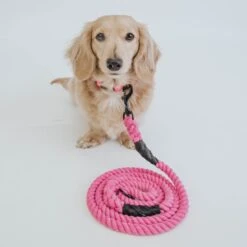 Dog Rope Leash - Neon Pink -Furfinity Cheap Shop neon pink collection 19