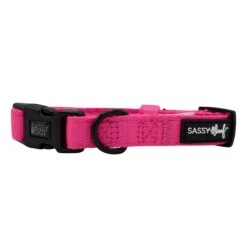 Dog Collar - Neon Pink -Furfinity Cheap Shop neon pink dog collar 1