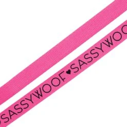 Dog Leash - Neon Pink -Furfinity Cheap Shop neon pink leash