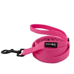 Dog Four Piece Bundle - Neon Pink -Furfinity Cheap Shop neon pink leash 2 887c64d5 79a1 40d3 8bdc ff0cd9c9d599