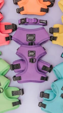 Dog Adjustable Harness - Neon Purple -Furfinity Cheap Shop neon purple dog reel cover 2