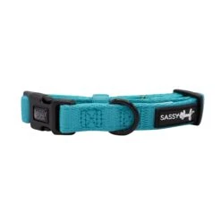 Dog Collar - Neon Blue -Furfinity Cheap Shop neon teal dog collar 1