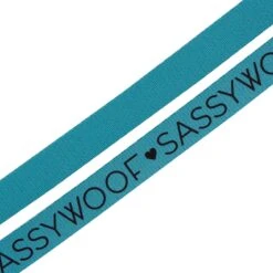 Dog Leash - Neon Blue -Furfinity Cheap Shop neon teral leash