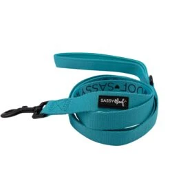 Dog Two Piece Bundle - Neon Blue -Furfinity Cheap Shop neon teral leash 2 1