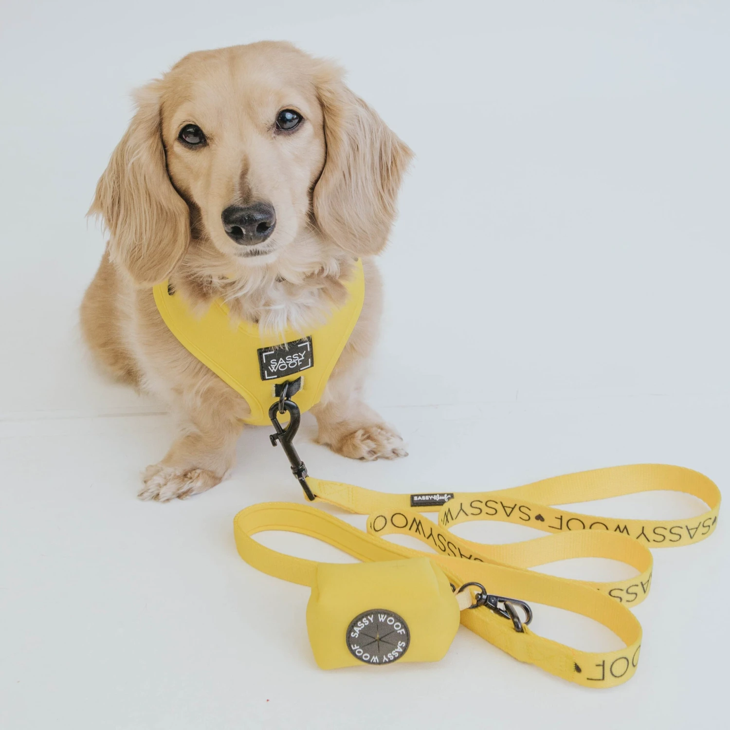 Dog Leash - Neon Yellow 9 Dog Leash - Neon Yellow - Image 7