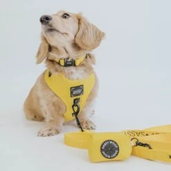 Dog Waste Bag Holder - Neon Yellow -Furfinity Cheap Shop neon yellow collection 5