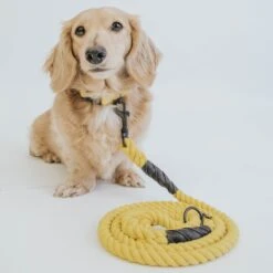 Dog Rope Leash - Neon Yellow -Furfinity Cheap Shop neon yellow collection 9