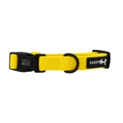 Dog Collar - Neon Yellow 12 Dog Collar - Neon Yellow -Furfinity Cheap Shop neon yellow dog collar 1