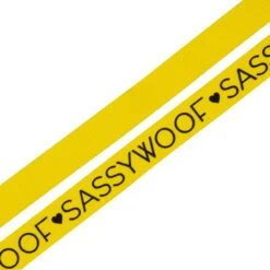 Dog Leash - Neon Yellow 14 Dog Leash - Neon Yellow -Furfinity Cheap Shop neon yellw leash