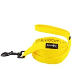 Collar Three Piece Bundle - Neon Yellow -Furfinity Cheap Shop neon yellw leash 2 1