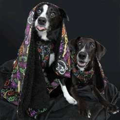 Dog Four Piece Bundle - Neon Frights -Furfinity Cheap Shop neonfrights 84c988f1 0703 4b39 b834 964115367a2f