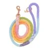 Dog Rope Leash - Piñata -Furfinity Cheap Shop new pinata dog rope leash 1