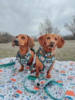 Dog Waste Bag Holder - Peanuts™ Beagle Scouts -Furfinity Cheap Shop nikandnyla 5 acccc4db babf 4696 a699 6c91f14c9eb8