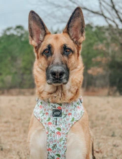 Dog Adjustable Harness - Shrooms & Blooms -Furfinity Cheap Shop ollie and annie the cavs 2 49551949 04a1 4bcd a701 2957124e0ffd