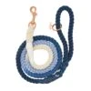 Dog Rope Leash - Ombre Blue -Furfinity Cheap Shop ombre blue dog rope leash 1