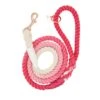 Dog Rope Leash - Ombre Pink -Furfinity Cheap Shop ombre pink dog rope leash 1
