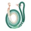 Dog Rope Leash - Ombre Teal -Furfinity Cheap Shop ombre teal new dog rope leash 1