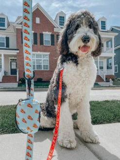 Dog Leash - One Hot Pupperoni -Furfinity Cheap Shop one hot pupperoni dog 10