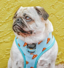 Dog Reversible Harness - One Hot Pupperoni -Furfinity Cheap Shop one hot puppers dog 17