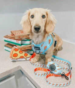 Dog Reversible Harness - One Hot Pupperoni -Furfinity Cheap Shop one hot puppers dog 22 21f2d5a2 f1f8 4011 a03e 215b90e0095f 1