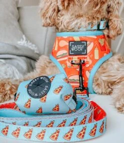 Dog Leash - One Hot Pupperoni -Furfinity Cheap Shop one hot puppers dog 26