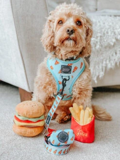 Dog Collar - One Hot Pupperoni -Furfinity Cheap Shop one hot puppers dog 28 a208f57f d47b 4c2d 9ca0 b6b54d2e9f71