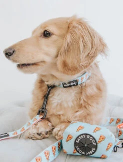 Dog Collar - One Hot Pupperoni -Furfinity Cheap Shop one hot puppers dog 5