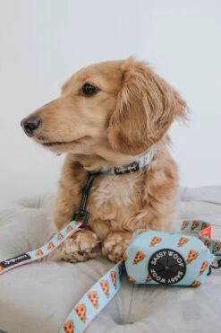 Dog Leash - One Hot Pupperoni -Furfinity Cheap Shop one hot puppers dog 6