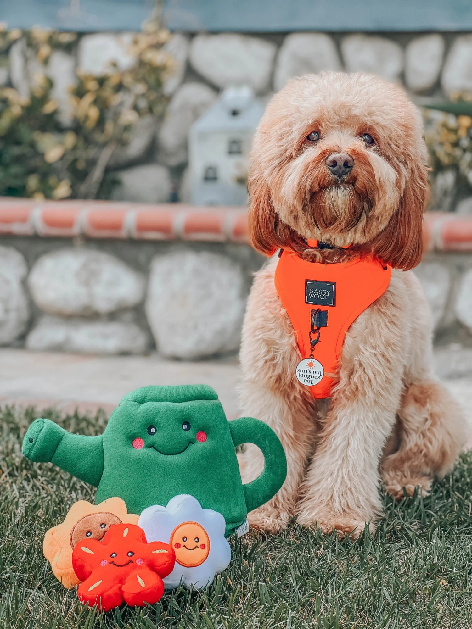 Dog Four Piece Bundle - Neon Orange 14 Dog Four Piece Bundle - Neon Orange - Image 12