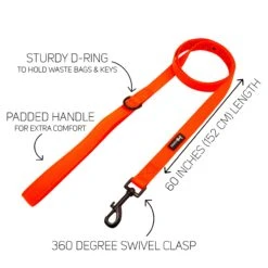Dog Two Piece Bundle - Neon Orange -Furfinity Cheap Shop orange neon leash diagram a6a7ac01 ec54 4af2 9368 5a1fe079ae11