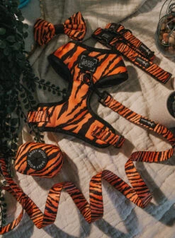 Dog Adjustable Harness - Paw Of The Tiger -Furfinity Cheap Shop paw of the tiger dog 4