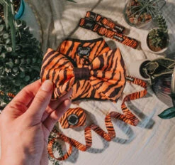 Dog Bowtie - Paw Of The Tiger -Furfinity Cheap Shop paw of the tiger dog 6