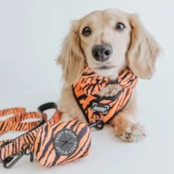 Dog Bowtie - Paw Of The Tiger -Furfinity Cheap Shop paw of the tiger dog collection 7 5b21d29a 3bd9 4b3a 949f bf90ae12fee2