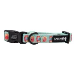 Dog Collar - Spread The Love -Furfinity Cheap Shop pbandj mutella dog collection 16