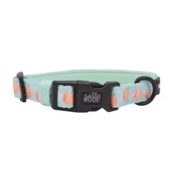 Collar Three Piece Bundle - Peach Please -Furfinity Cheap Shop peaches dog collar 2 a571e379 fbeb 42e8 a66a 96faa1b7fe6c