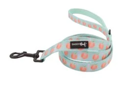 Collar Three Piece Bundle - Peach Please -Furfinity Cheap Shop peaches dog fabric leash 2 64e4a11f 333d 4bd5 803b 67d15ea3cdc5