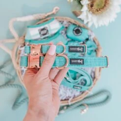 Dog Collar - Wag Your Teal -Furfinity Cheap Shop photos