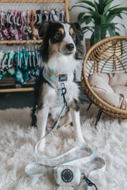 Dog Waste Bag Holder - Peach Please -Furfinity Cheap Shop poppy and sprout JPG