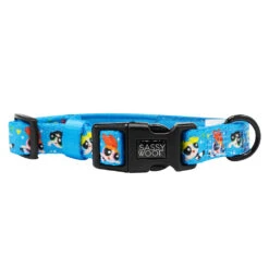 Collar Three Piece Bundle - The Powerpuff Girls™ (Blue) -Furfinity Cheap Shop ppg collar 2 ddb3ca70 e724 498b 8e35 5fa4cb0d8774