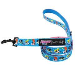 Dog Two Piece Bundle -The Powerpuff Girls™ (Blue) -Furfinity Cheap Shop ppg leash 1