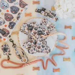 Dog Four Piece Bundle - It's A Pug's Life -Furfinity Cheap Shop pug breed photo