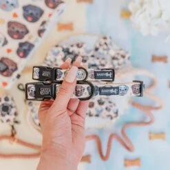 Dog Collar - It's A Pug's Life -Furfinity Cheap Shop pug breed photo 3