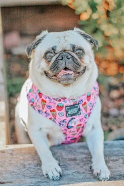 Dog Adjustable Harness - I Chews You -Furfinity Cheap Shop pug 58381e49 4279 43ea 8961 c2b0de265c1b