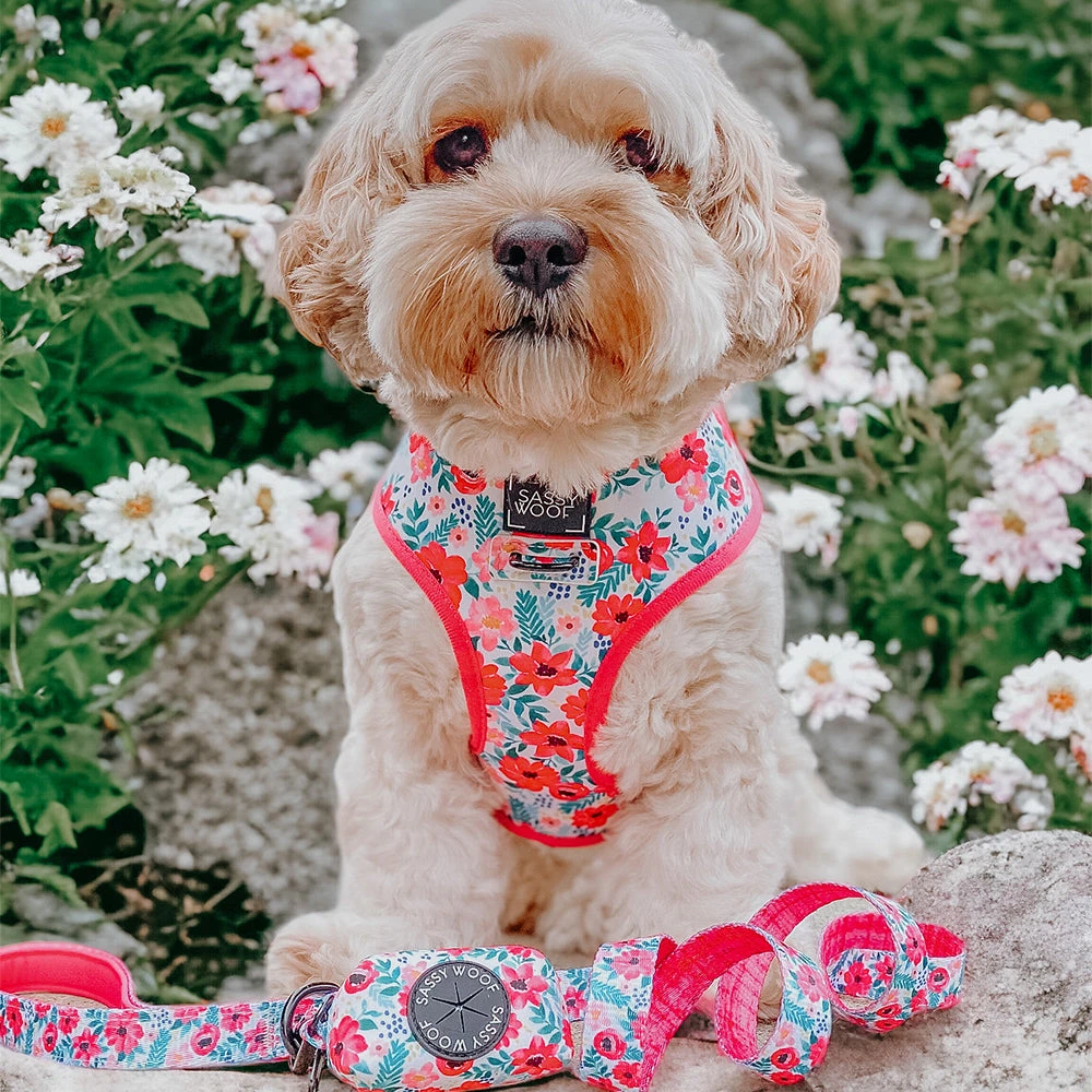 Dog Waste Bag Holder - Floral Frenzy 9 Dog Waste Bag Holder - Floral Frenzy - Image 7