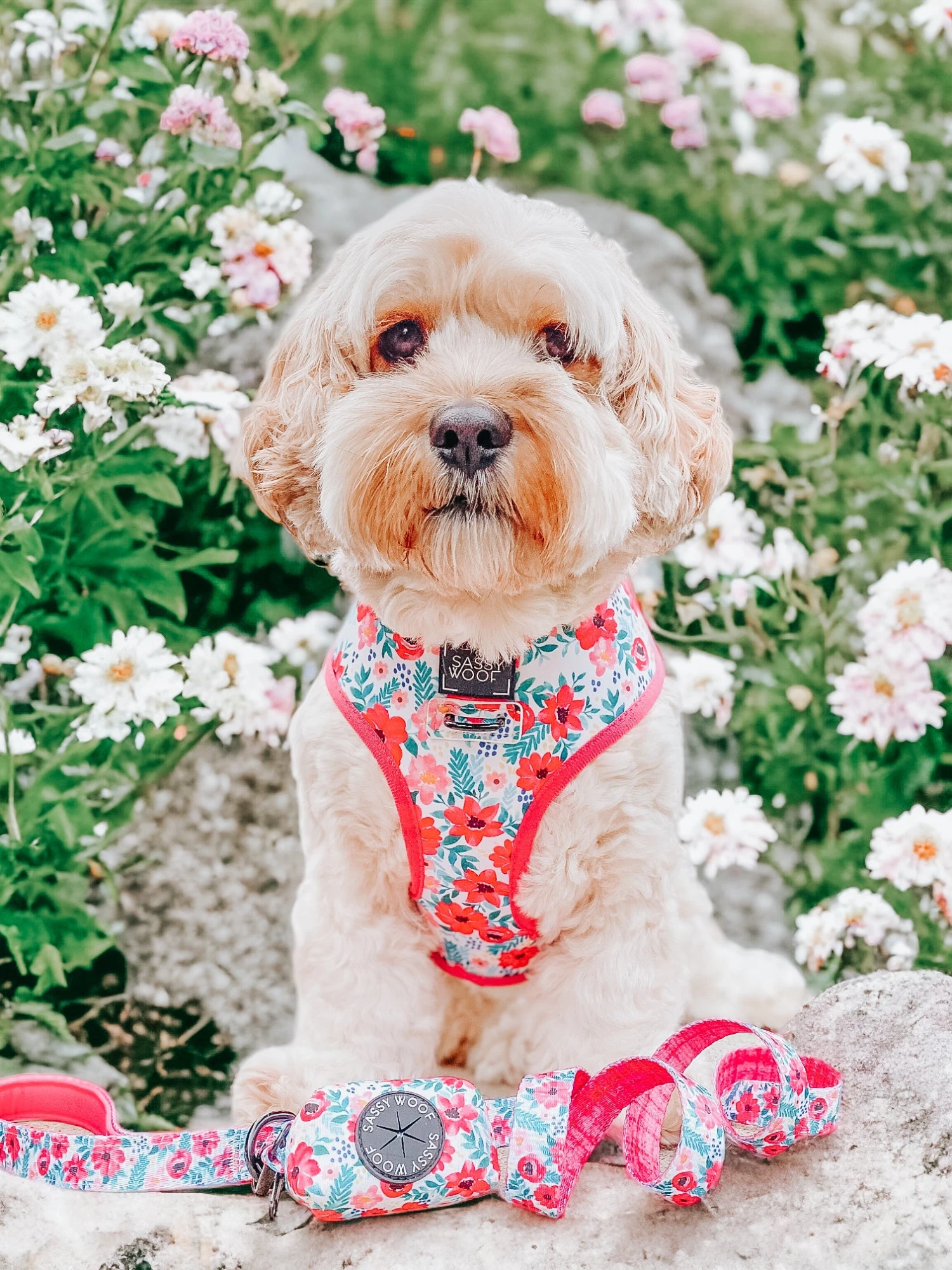 Dog Waste Bag Holder - Floral Frenzy 7 Dog Waste Bag Holder - Floral Frenzy - Image 5