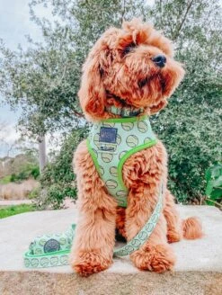 Dog Waste Bag Holder - Serving Up Sass -Furfinity Cheap Shop puppupbear 5 23f3c1aa 06b7 4548 86b9 0d8eab4cffd8