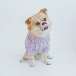 Dog Cable Knit Sweater - Lavender -Furfinity Cheap Shop purple cable knit l 2