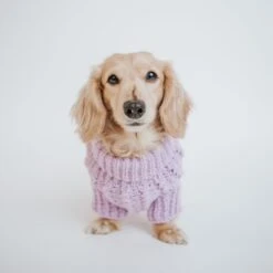 Dog Cable Knit Sweater - Lavender -Furfinity Cheap Shop purple cable knit m